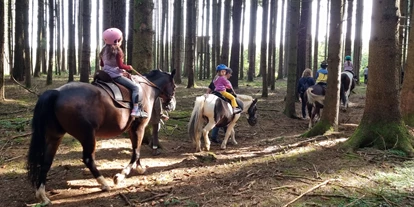 Trip with children - Themenschwerpunkt: Pferde - Germany - Tinker Ponyhof 