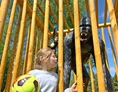 Ausflugsziel: KICKKONG Gorilla - Fussballgolf - Kickgolf in Soltau