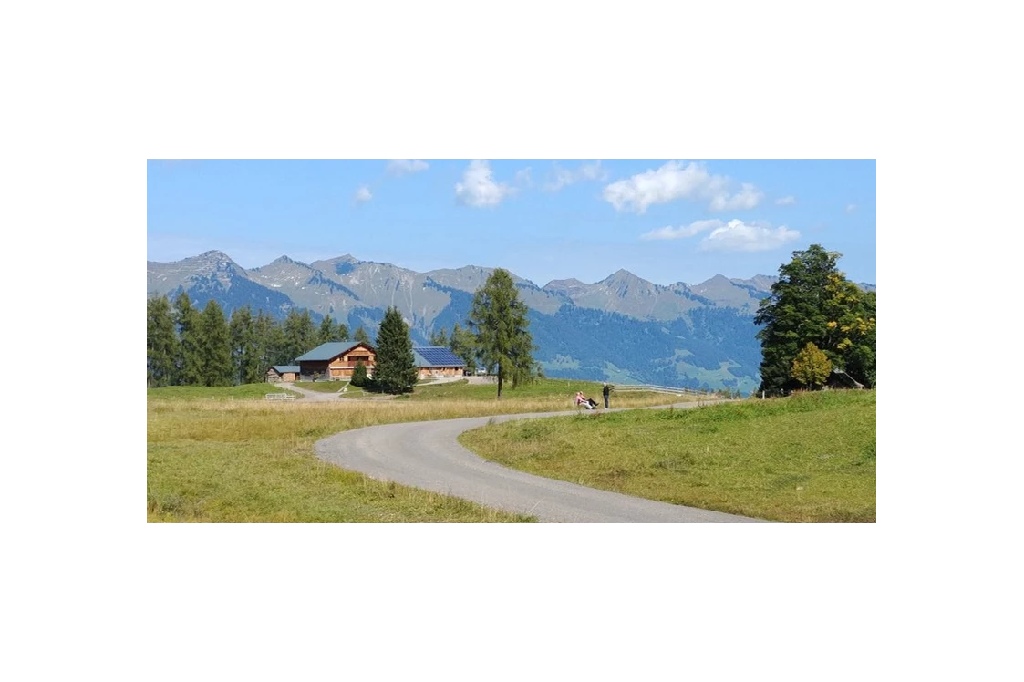 Ausflugsziel: Weg zur Alpe Rona auf der Tschengla im Brandnertal - Alpe Rona