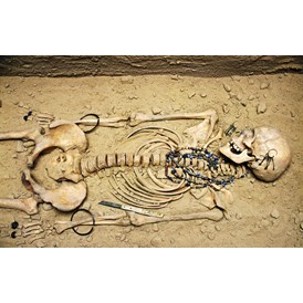 Ausflugsziel: Im Museum Nachbildung eines Skeletts aus einem Mädchengrab, gefunden in Auhof bei Perg. - Heimathaus-Stadtmuseum Perg