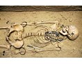 Ausflugsziel: Im Museum Nachbildung eines Skeletts aus einem Mädchengrab, gefunden in Auhof bei Perg. - Heimathaus-Stadtmuseum Perg