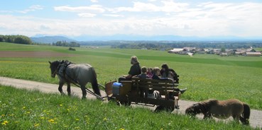 Ausflug mit Kindern - Geretsberg - Himmelreichhof