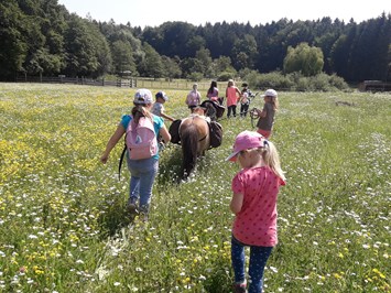Himmelreichhof Highlights beim Ausflugsziel Ponywandern