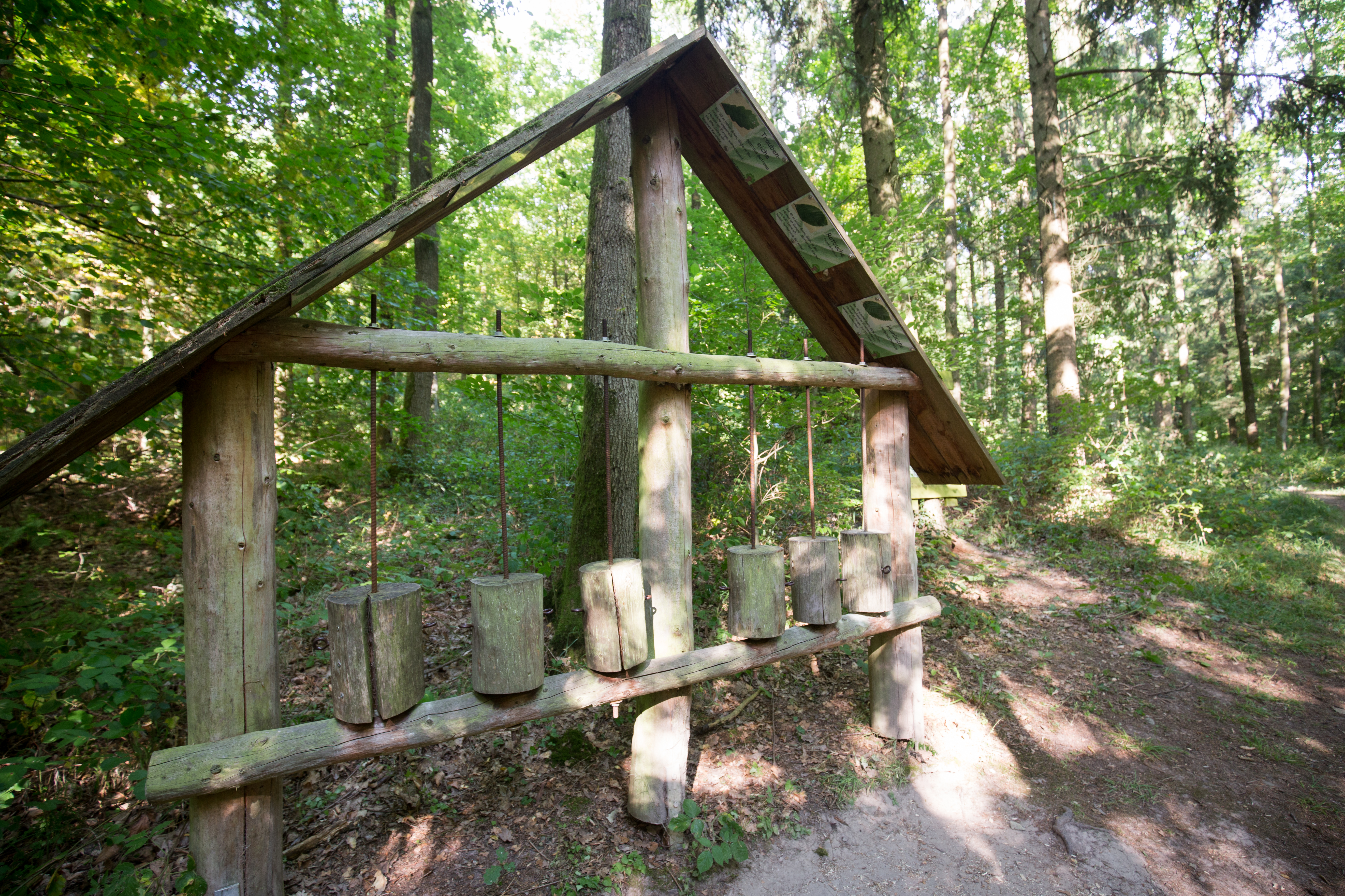 Ausflug mit Kindern - Mönsheim - Eppinger Waldfühlpfad 