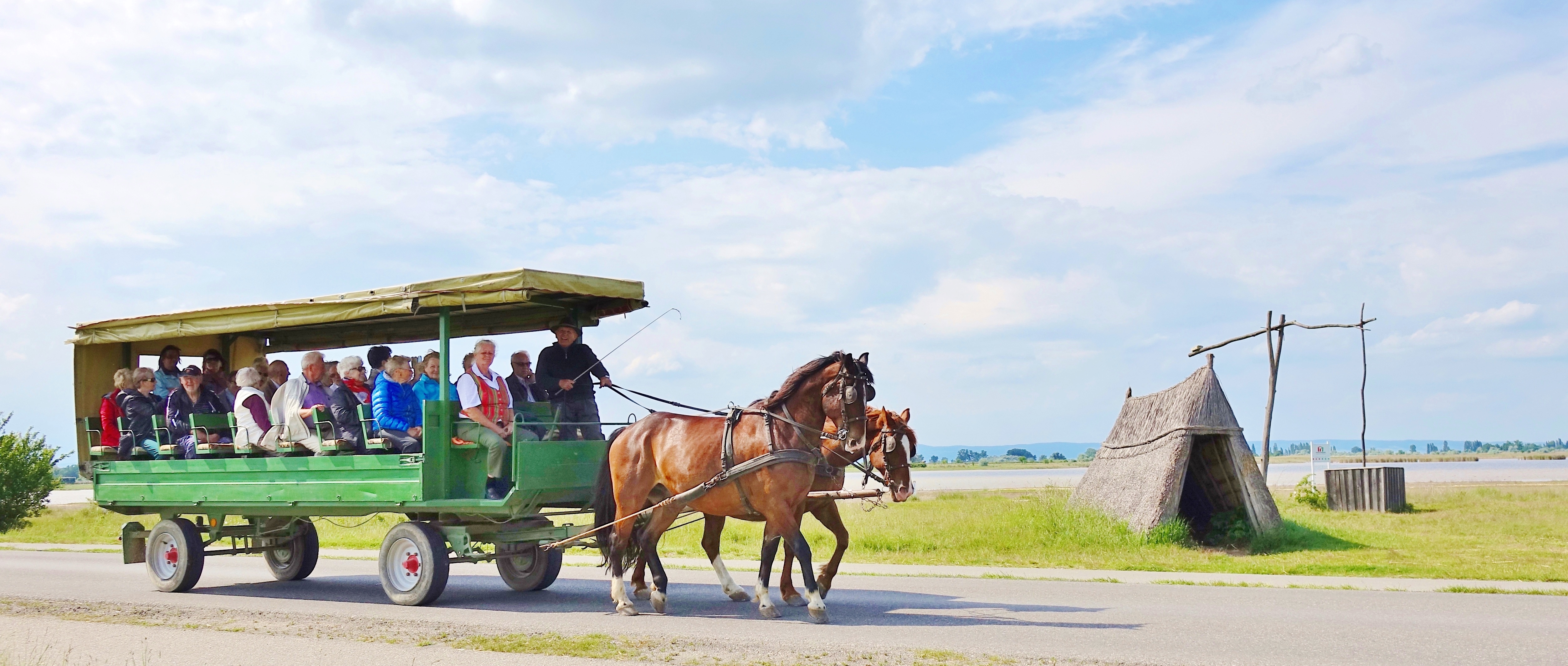 Trip with children - Kittsee - Kutschenfahrten Gangl Vinzenzhof