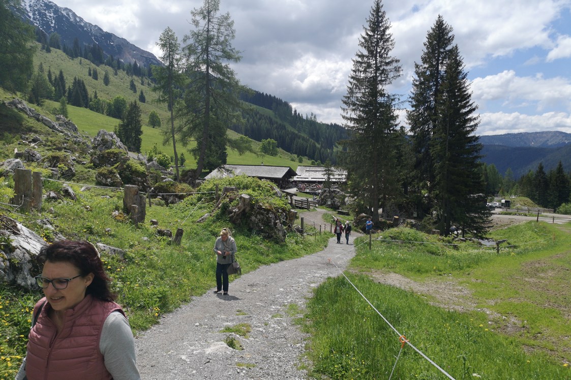 Ausflugsziel: Oberhofalm