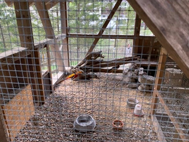 Ausflugsziel: Tiererlebnispfad Brandnertal