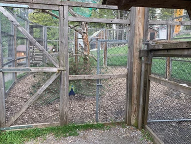 Ausflugsziel: Tiererlebnispfad Brandnertal