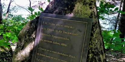 Trip with children - Schwarzenberg (Schwarzenberg) - Felder Museum
