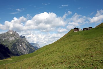 Ausflugsziel: Alpe Batzen - Alpmuseum "uf'm Tannberg"