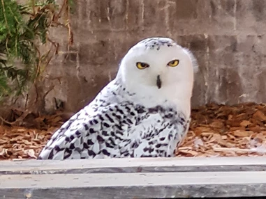 Ausflugsziel: Wildpark Aurach