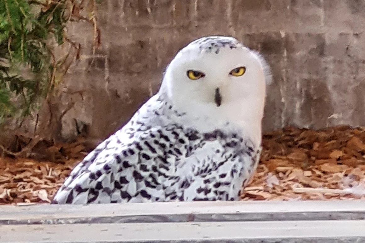 Ausflugsziel: Wildpark Aurach