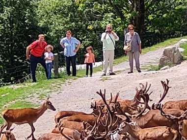 Ausflugsziel: Wildpark Aurach