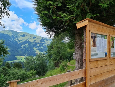 Ausflugsziel: Wildpark Aurach