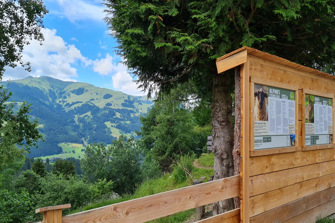 Ausflugsziel: Wildpark Aurach