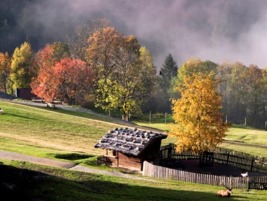Ausflugsziel: Wildpark Aurach