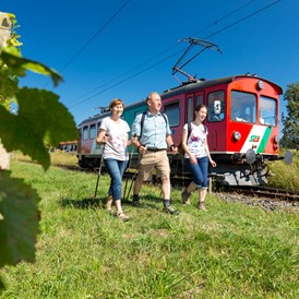 Ausflugsziel: Wandern mit der Gleichenberger Bahn - Gleichenberger Bahn