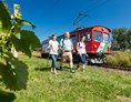 Ausflugsziel: Wandern mit der Gleichenberger Bahn - Gleichenberger Bahn