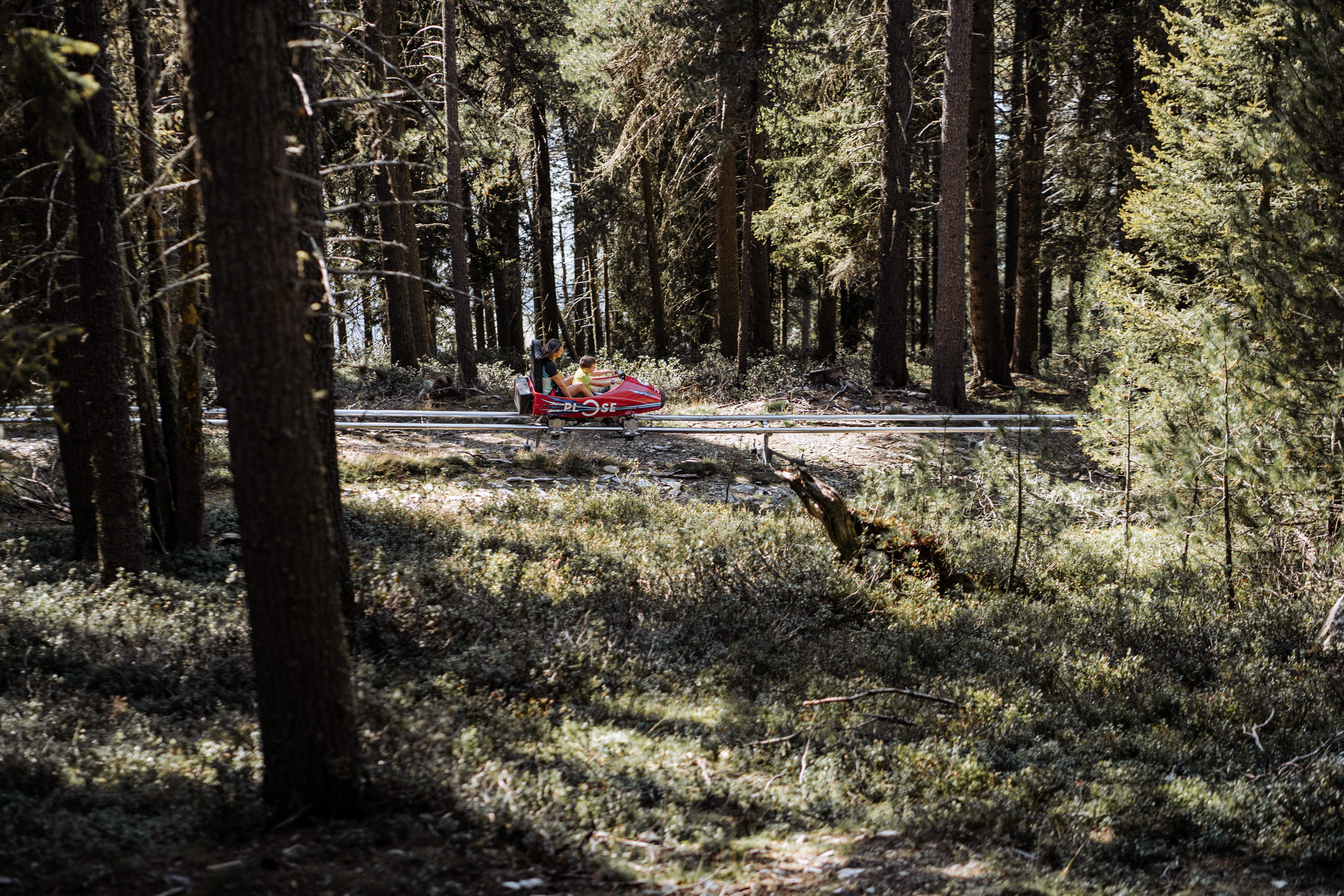 Ausflugsziel: Plosebob