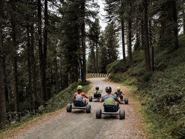 Ausflugsziel: Mountaincarts Plose