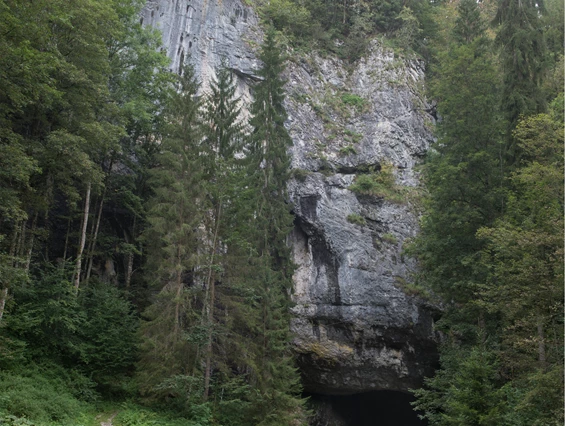 Ausflugsziel: Lurgrotte Semriach
