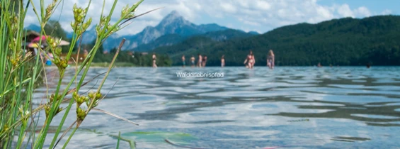 Ausflugsziel: Geo Trail Ödensee