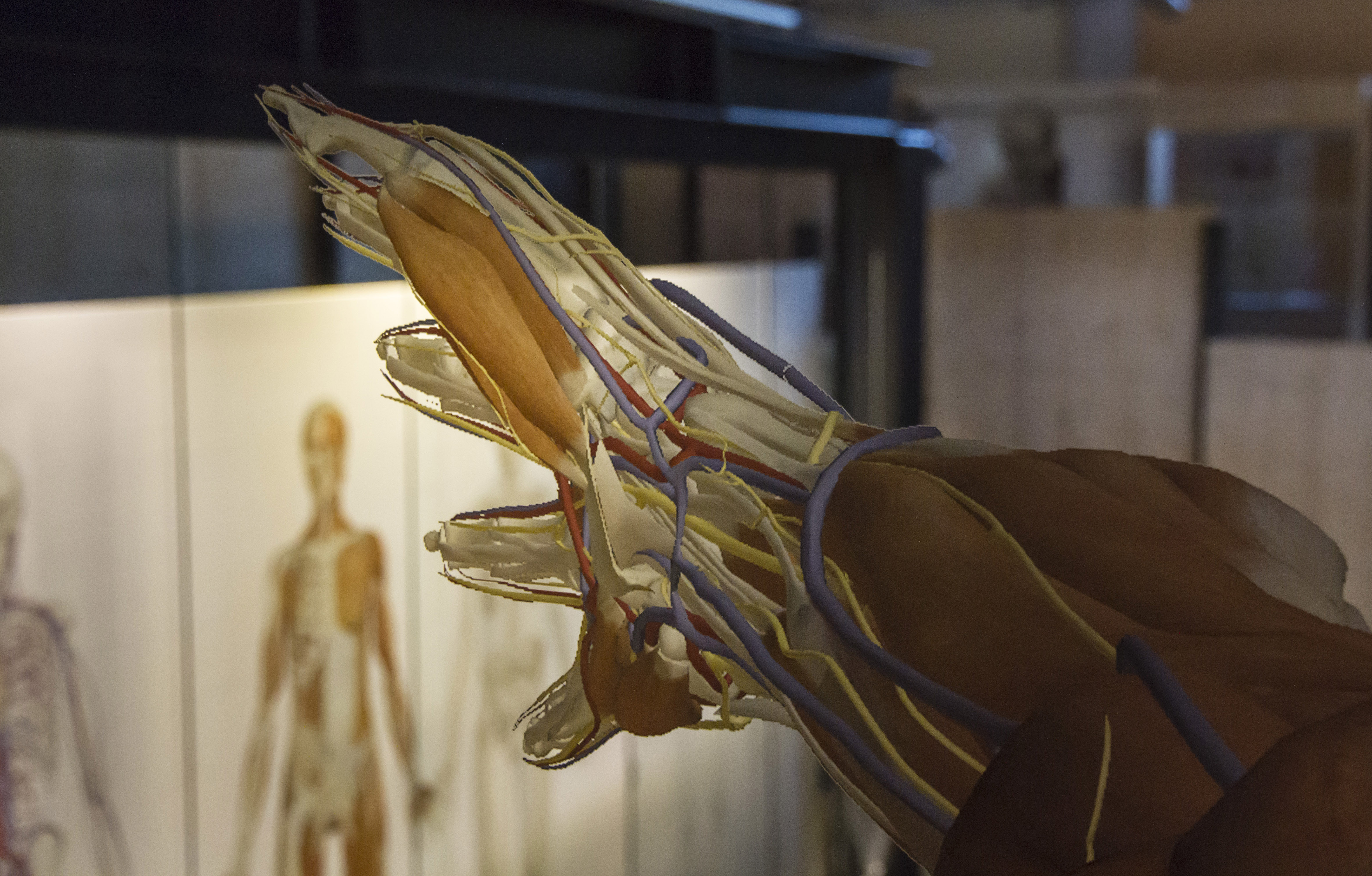 Ausflugsziel: Labyrinth Mensch