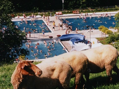 Ausflugsziel: Das Familienfreundlichen Erholungsbad mitten in der Natur! - Erholungsbad Grieskirchen