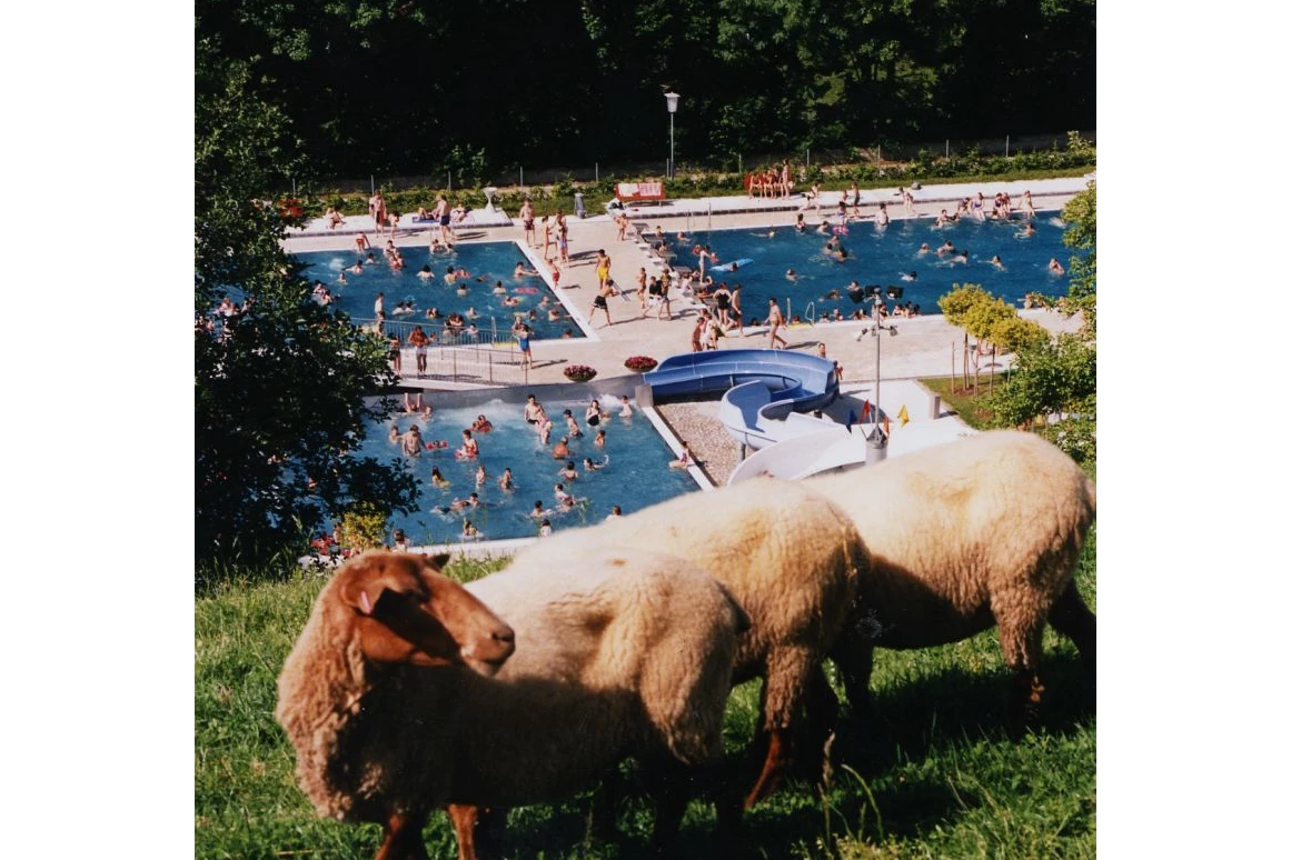 Ausflugsziel: Erholungsbad Grieskirchen