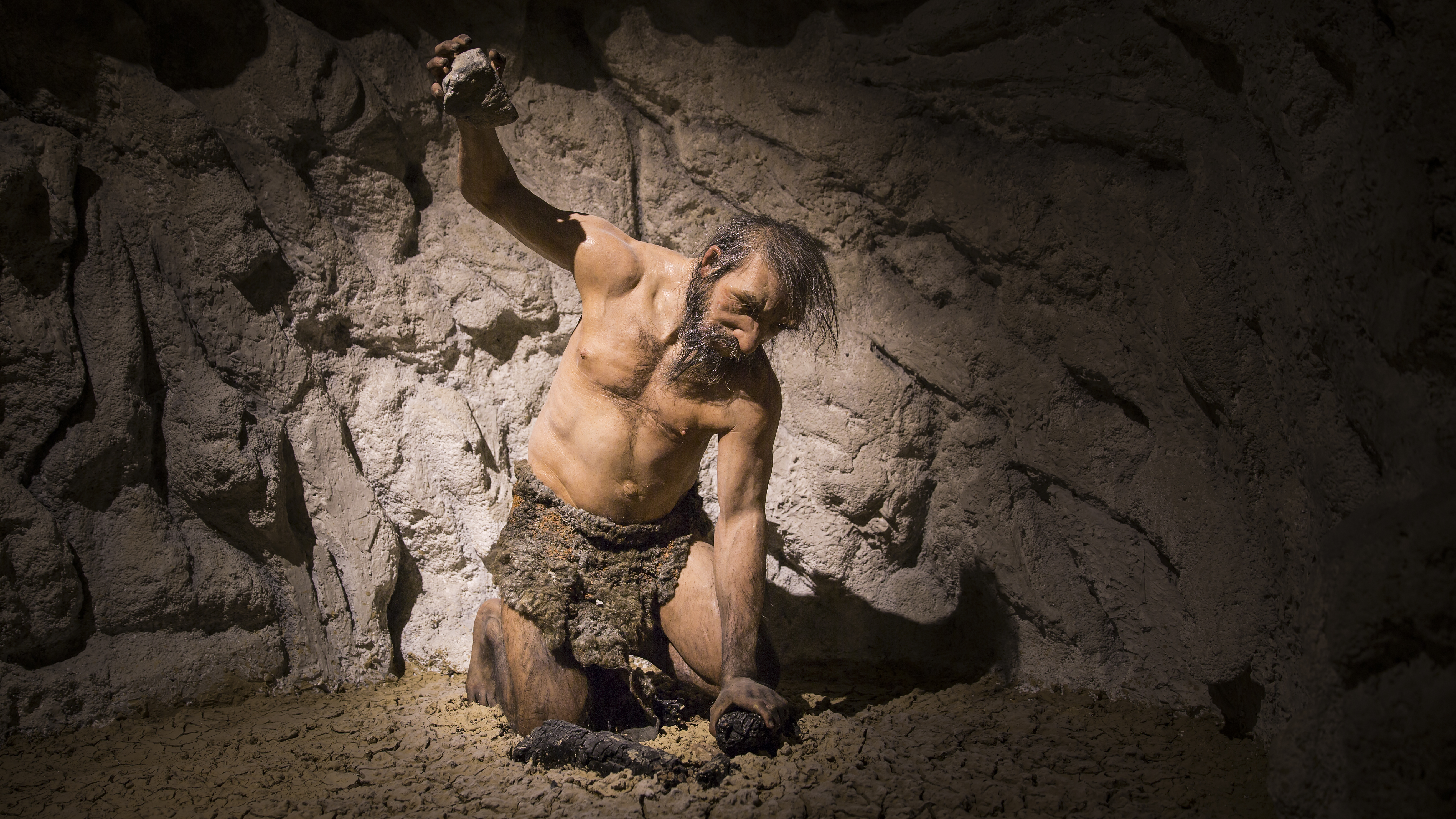 Ausflugsziel: Eine Zeitreise durch die Evolution - Evolutionsmuseum Schmiding