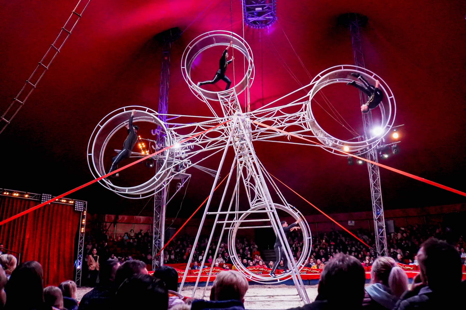 Ausflugsziel: Circus Alex Kaiser - Wien-Floridsdorf - Tournee 2024