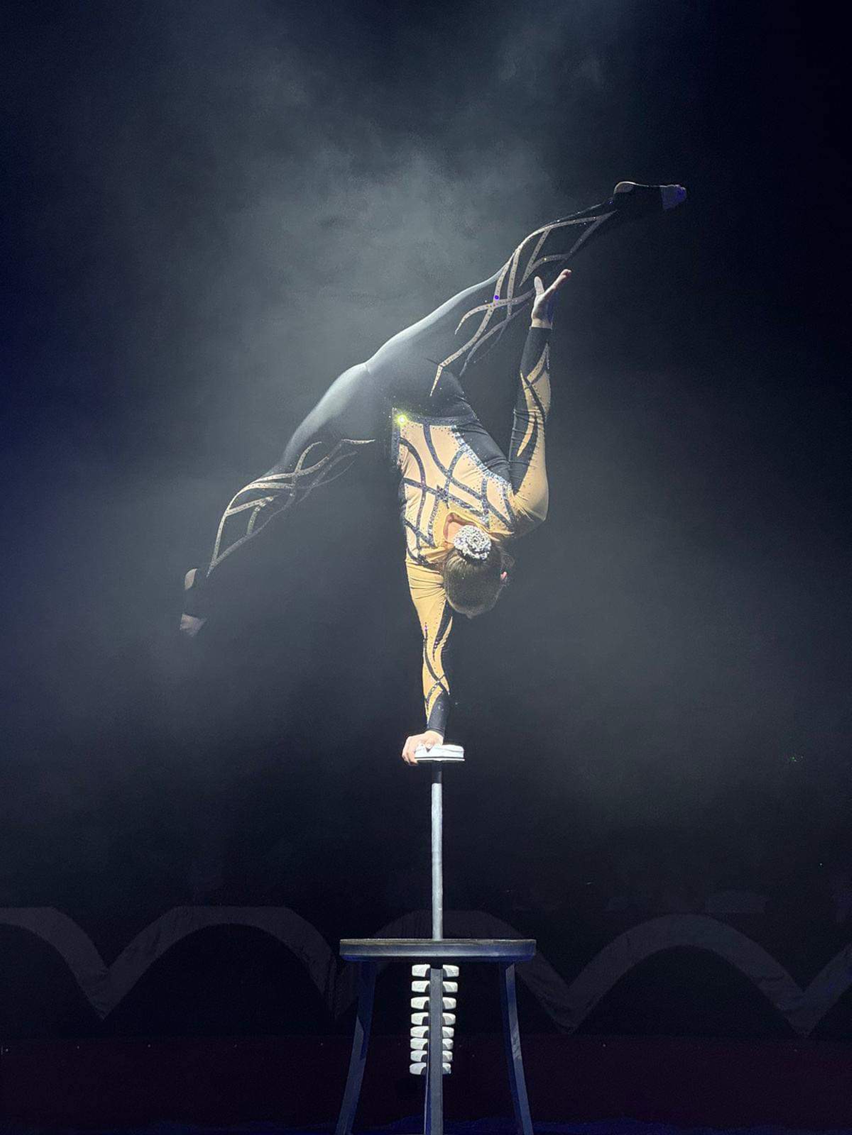 Ausflugsziel: Circus Alex Kaiser - Wien-Floridsdorf - Tournee 2024