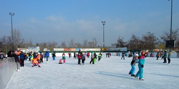Ausflug mit Kindern - Themenschwerpunkt: Eislaufen - Donauraum - Kunsteisbahn der Stadt Tulln