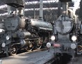 Ausflugsziel: Eisenbahnmuseum Strasshof "Das Heizhaus"
