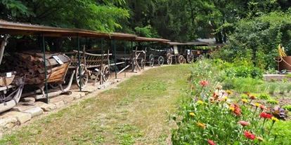 Reis met kinderen - Ybbs an der Donau - Themenpark - Sturmmühle Mühlenmuseum & Themenpark Landleben