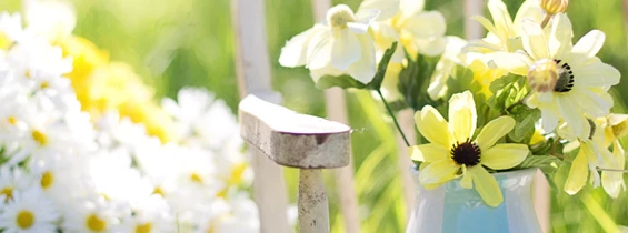 Ausflugsziel: Allergiegarten