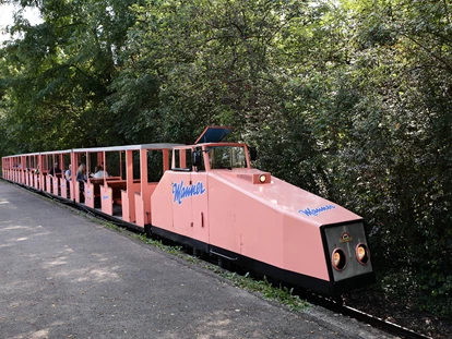 Ausflug mit Kindern - Bullendorf - Donauparkbahn