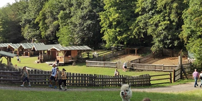 Viaggio con bambini - Felixdorf - Keltenfestgelände - Alpakas - Archäologisches Freilichtmuseum, Aussichtsturm und das Turmcafé