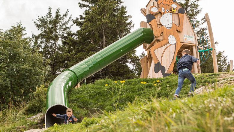 Ausflugsziel: Rutsche vom Kletterturm - Erlebnisalm Mönichkirchen