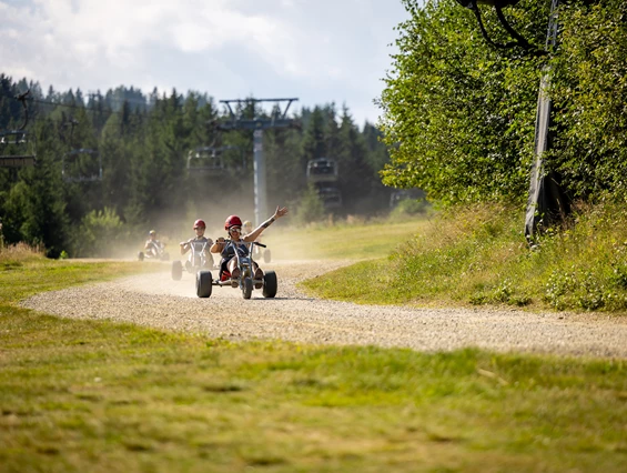 Ausflugsziel: Erlebnisalm Mönichkirchen