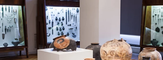Ausflugsziel: Städtisches Museum