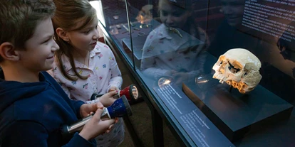 Voyage avec des enfants - Absdorf (Absdorf) - MAMUZ Museum Mistelbach