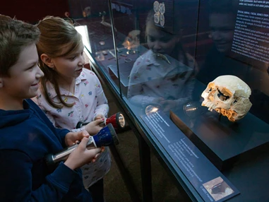 Ausflugsziel: MAMUZ Museum Mistelbach
