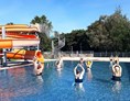 Ausflugsziel: Jeden Donnerstag vormittags heißt es Wassergymnastik  - Erlebnis-Freibad Eggenburg 