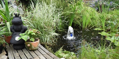 Reis met kinderen - Rosenau Schloss - Biotop im Garten - Schätze der Vergangenheit