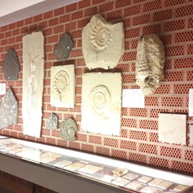 Ausflugsziel: Fossilien- und Steindruck-Museum