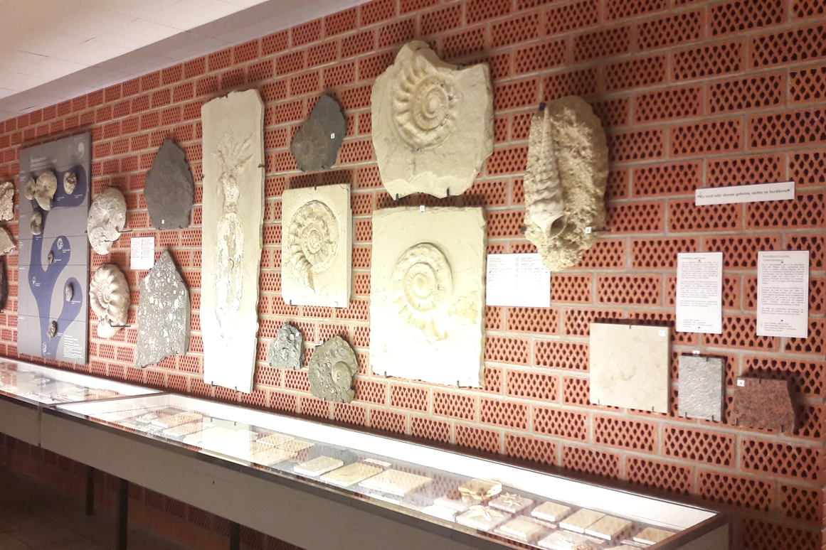 Ausflugsziel: Fossilien- und Steindruck-Museum