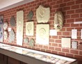 Ausflugsziel: Versteinerungen von Ammoniten. - Fossilien- und Steindruck-Museum