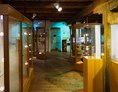 Ausflugsziel: Römermuseum Mautern