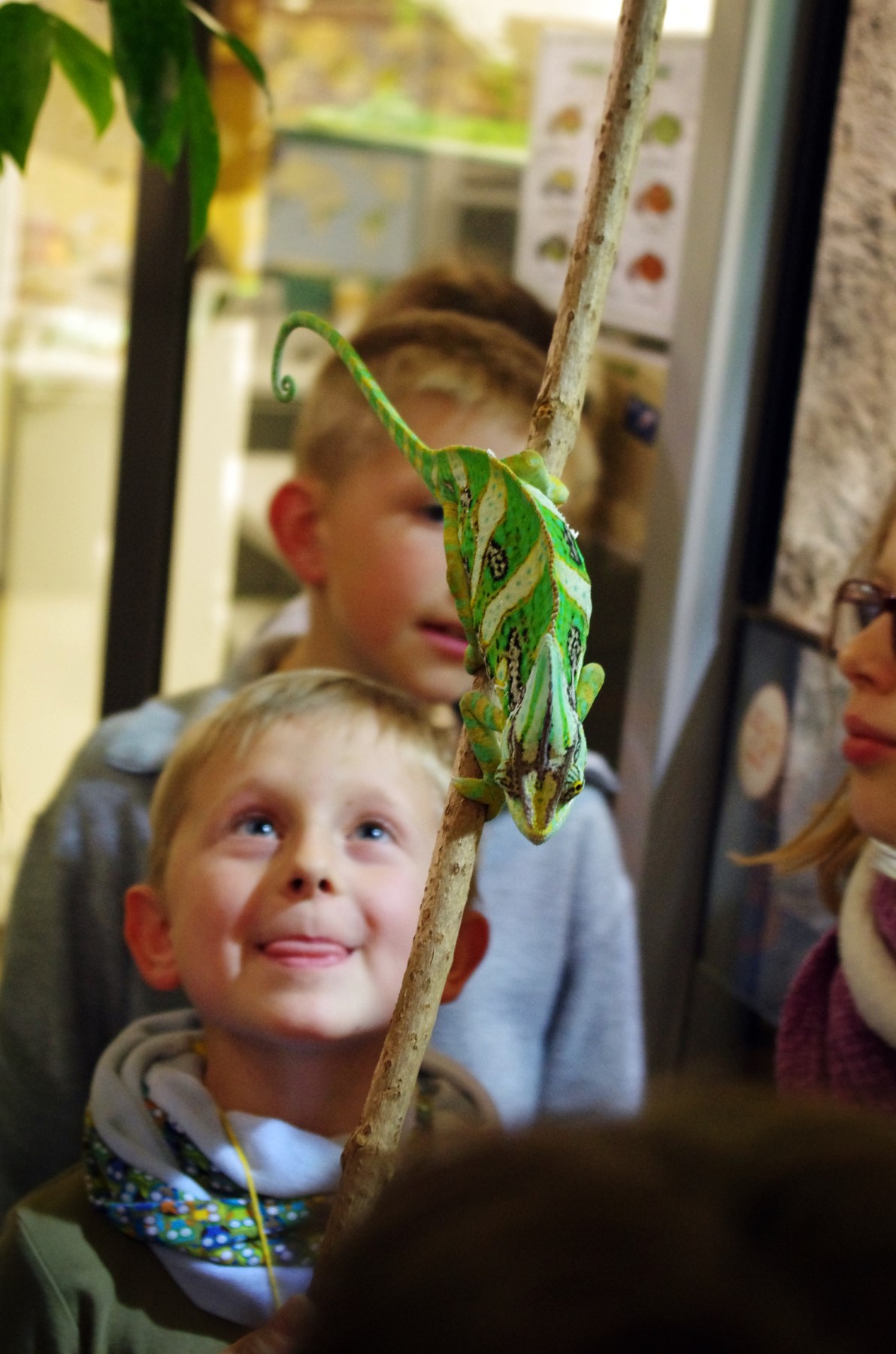 Ausflugsziel: Kindermuseum Nürnberg